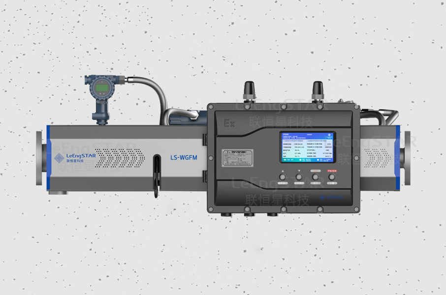 Wet Gas Flow Meter